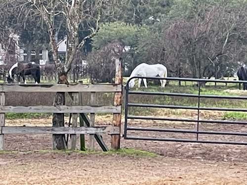 Sonesta Farms photo 12