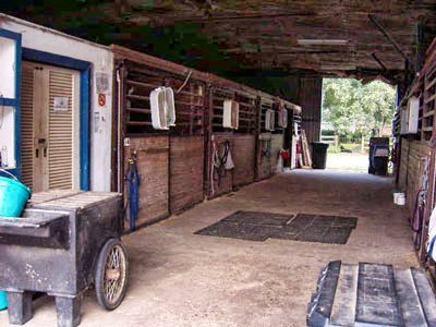 Sonesta Farms photo 9