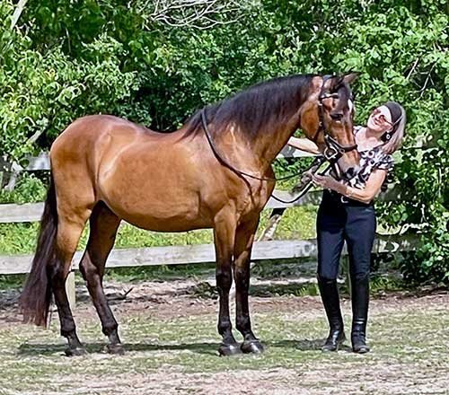 Sonesta Farms horse and rider