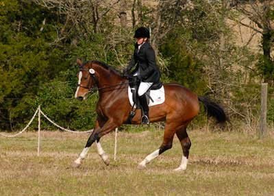 Sonesta Farms client 4