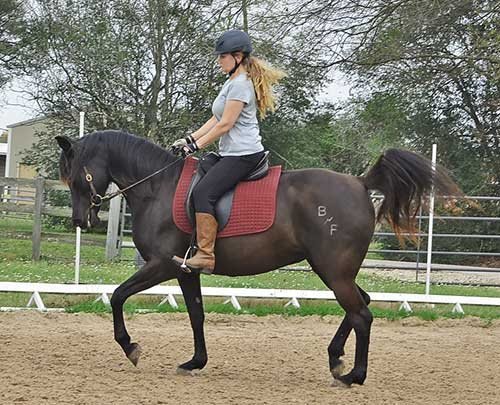 Sonesta Farms client 1